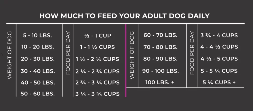 How Much Food To Feed My Dog & Feeding Chart By Weight