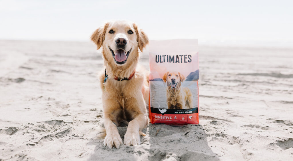 A dog laying on a beach next to a bag of Ultimates Sensitive with Salmon Protein dog food