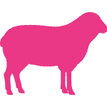 Meadow Prime