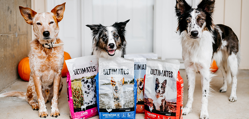 3 dogs with 4 bags of Ultimates recipes in the front.